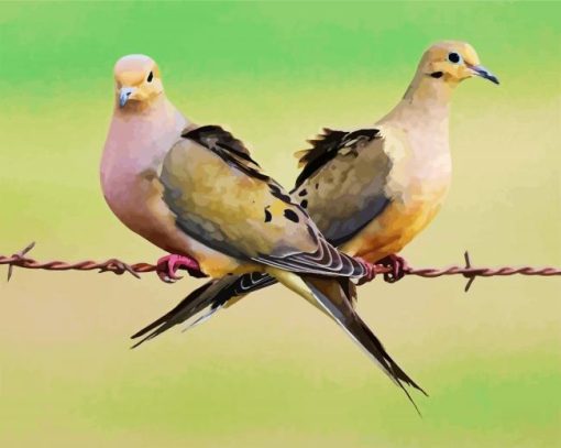 Cute Doves paint by number