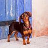 Cute Doxie paint by numbers
