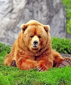 Cute Grizzly Bear paint by numbers