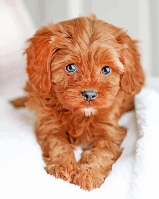 Cute Brown Goldendoodle paint by number