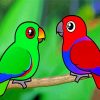 Cute Eclectus Birds paint by number