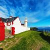 Dingle Harbour Lighthouse paint by numbers