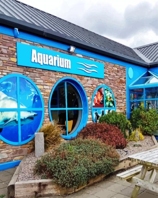 Dingle Oceanworld Aquarium paint by numbers