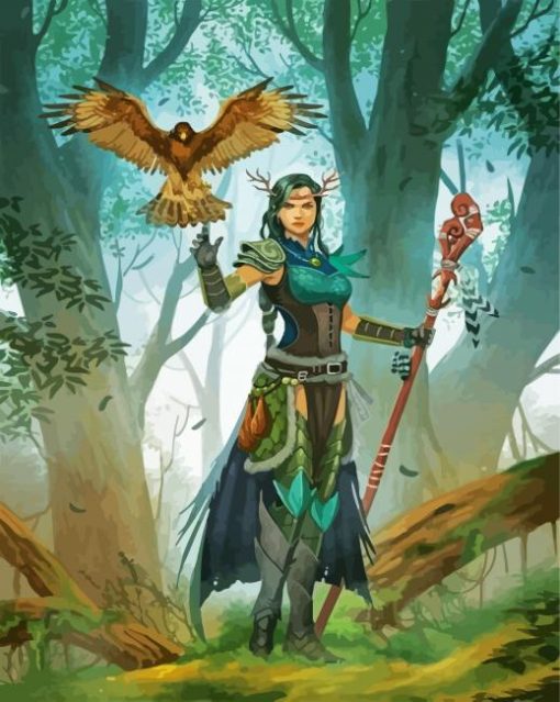 Druid And Eagle paint by numbers