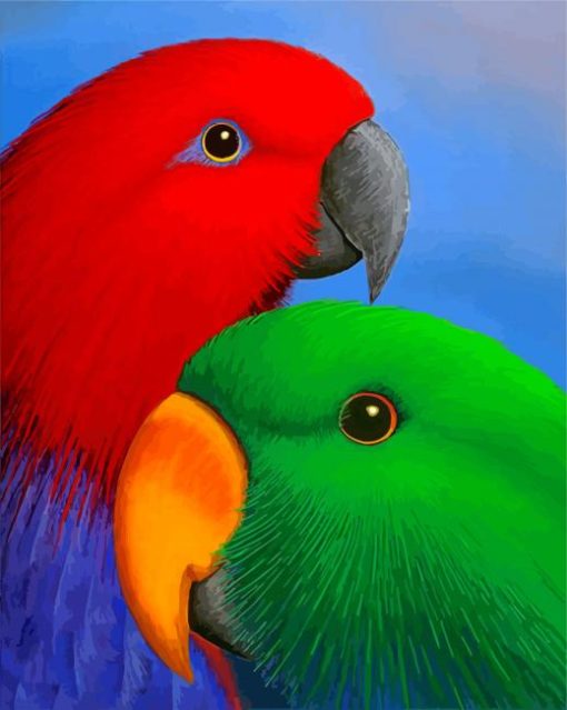 Eclectus Parrots Heads paint by number