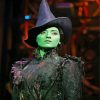 Elphaba The Green Witch - paint by number