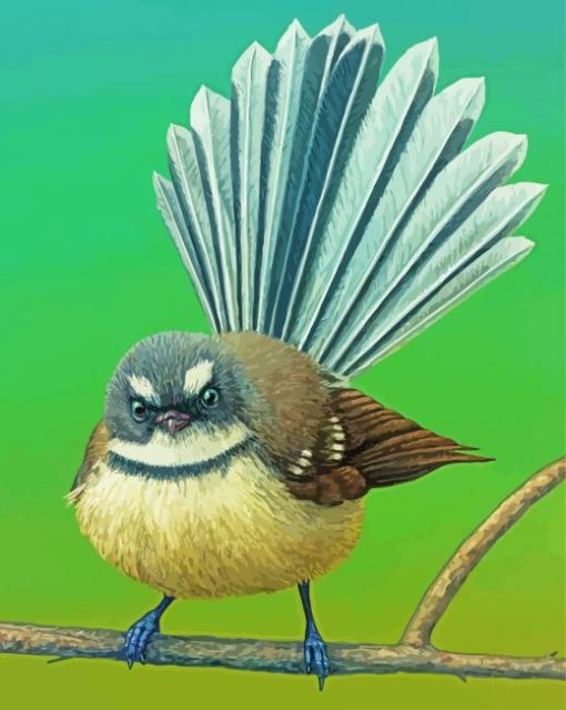 Fantail Bird paint by numbers