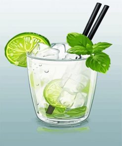 Fresh Drink Illustration paint by numbers