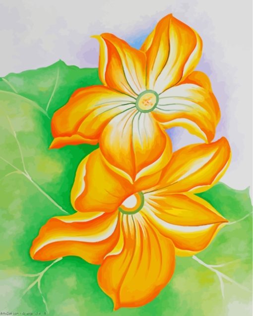 Georgia O Keefee Squash Blossoms paint by numbers