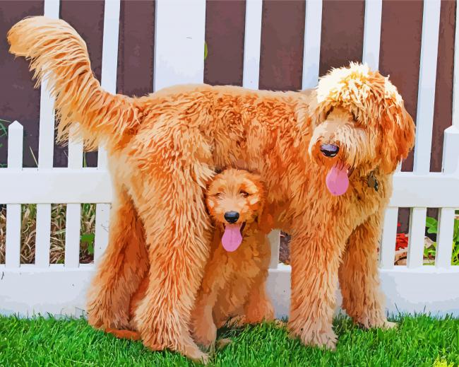 Goldendoodles Dogs paint by numbers