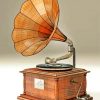 Aesthetic Gramophone Illustration paint by numbers