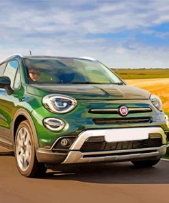 Green Fiat paint by numbers