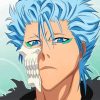 Grimmjow Jeager Jaquez Anime Characters paint by numbers