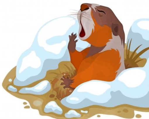 Groundhog Animal paint by numbers
