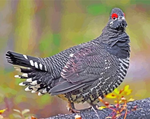 Grouse Bird Animal paint by numbers