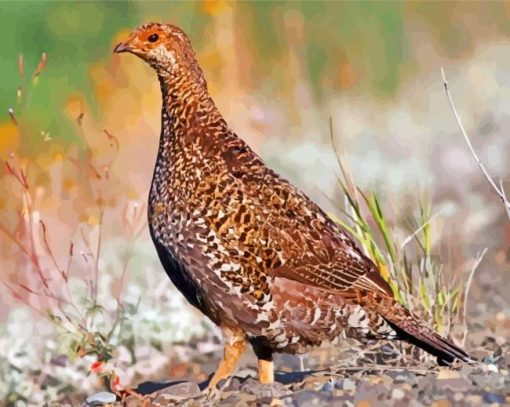 Grouse Bird paint by numbers