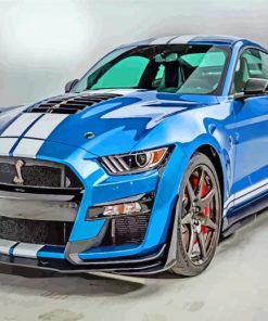 Gt500 Car paint by numbers