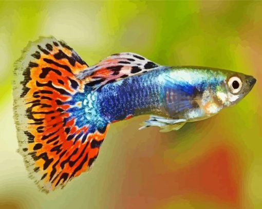 Guppy Fish paint by numbers
