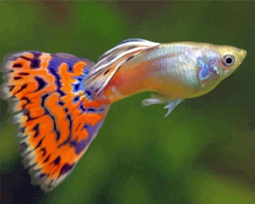 Colorful Guppy Fish paint by numbers