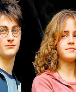 Harry Potter And Hermione paint by numbers