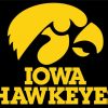 Hawkeyes Football paint by numbers