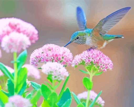 Hummingbird Catching Flower Paint by numbers