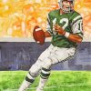 Joe Namath Jets Football Player paint by number