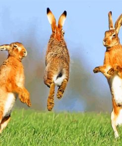 Jumping Hares paint by numbers