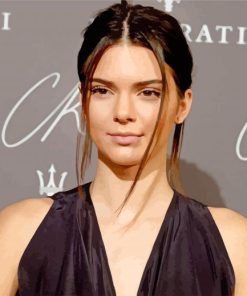 Kendall Jenner paint by numbers