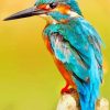 Kingfisher Bird paint by numbers