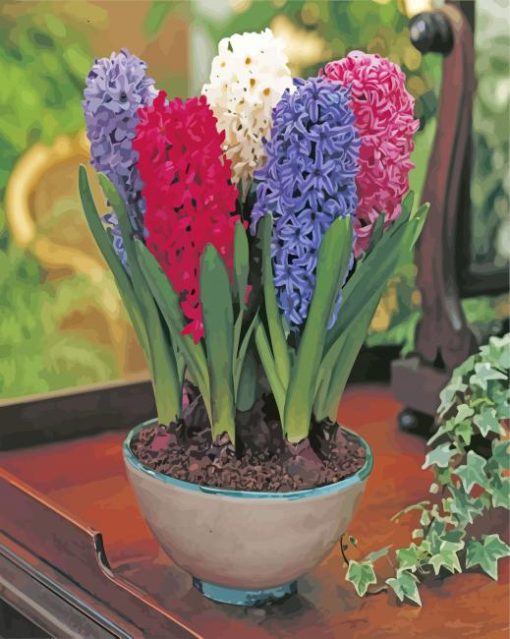 Mixed Hyacinth Bullbs paint by numbers