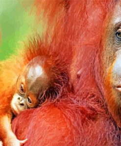 Orangutan Monkeys paint by numbers