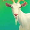 Portrait Of A Goat paint by numbers