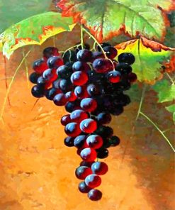 Red Grapes paint by numbers