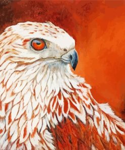 Red Tailed Hawk Bird paint by numbers