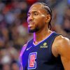 The American Basketball Player Kawhi paint by numbers