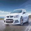 White Holden Car paint by numbers