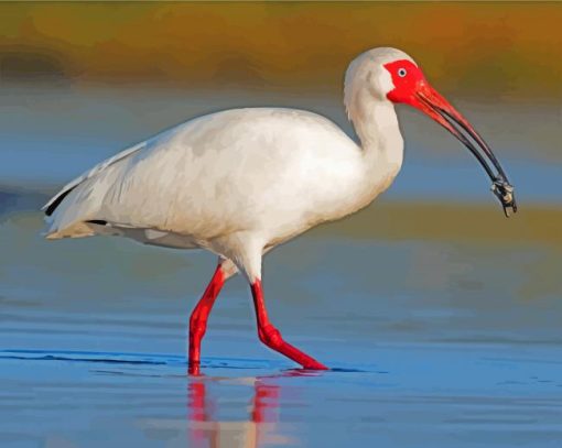 White Ibis In The Water paint by numbers