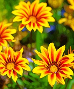 Yellow Gazanias paint by number