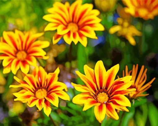 Yellow Gazanias paint by number
