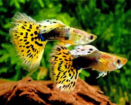Yellow Guppy Fishes paint by numbers