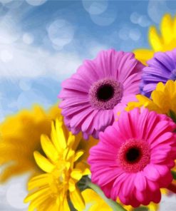 Yellow And Pink And Purple Gerberas Flowers paint by numbers