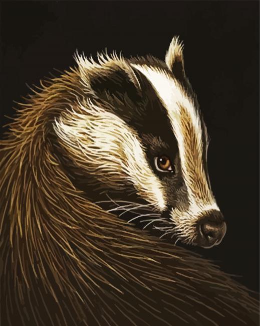 Aesthetic European Badger paint by numbers