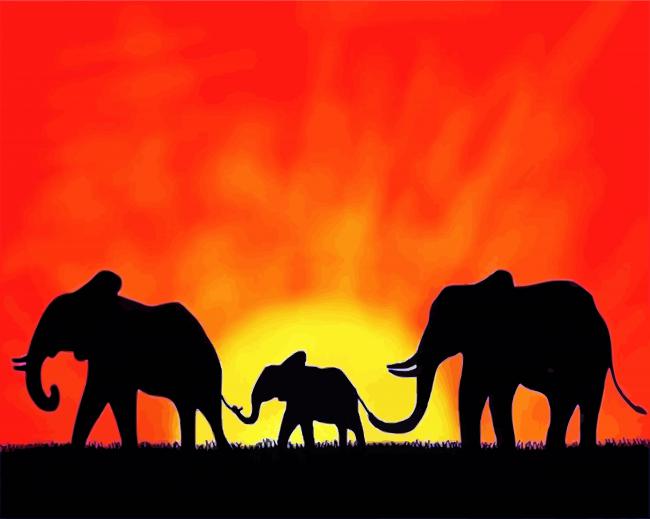 African Sunset Elephants paint by numbers
