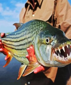 African Tigerfish paint by numbers