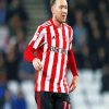 Aiden Mcgeady Sunderland AFC paint by numbers