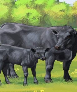 Angus Cow And Calf paint by numbers