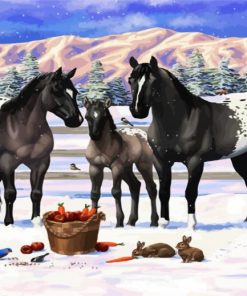 Appaloosa Horse In Snow paint by numbers