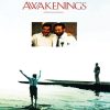 Awakening Movie Poster paint by number
