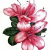 Azales Flowers Art paint by numbers